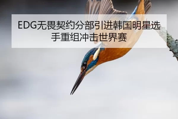 EDG无畏契约分部引进韩国明星选手重组冲击世界赛